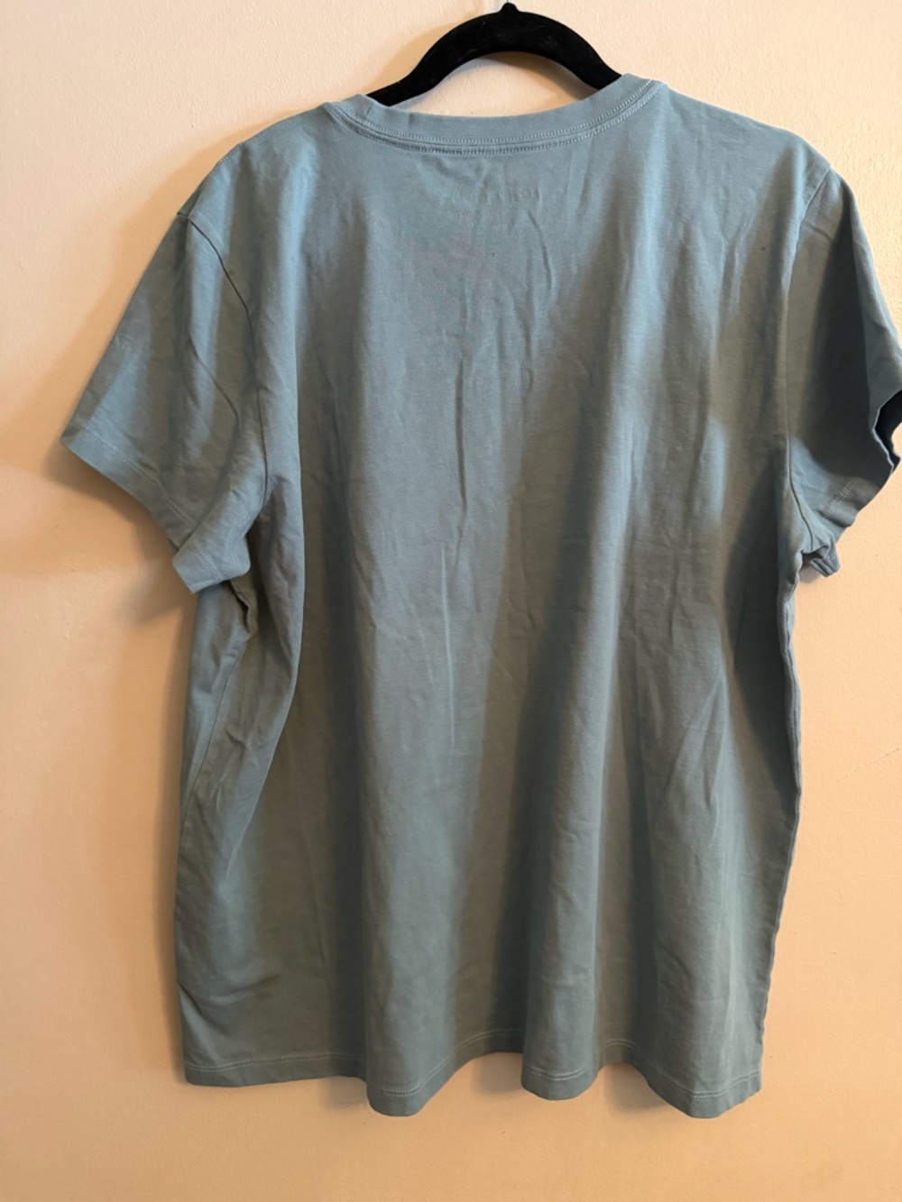Life Is Good Women's Short Sleeve Tee - Sage Green with Red Accent - Picture 2 of 5